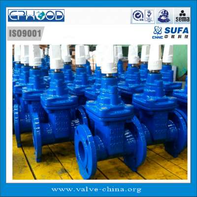 DN65 PN16 SUFA Brand Flange Resilient Seated Non-Rising Stem Type Gate Valve